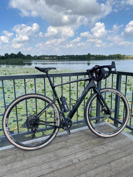 Sued - West Harz Mit Sauna E-bikes Vorhanden! Apartment *