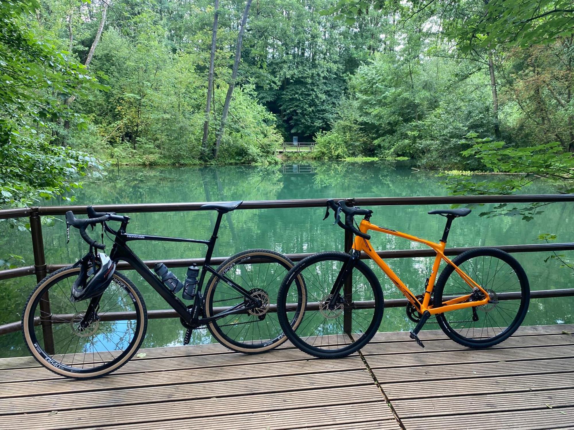 Sued - West Harz Mit Sauna E-bikes Vorhanden! Apartment
